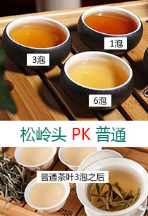 松嶺頭白茶經得起泡
